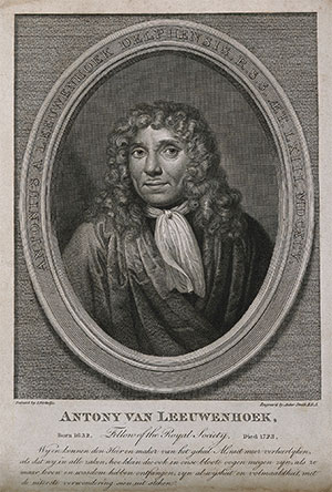 Antonius van Leeuwenhoek